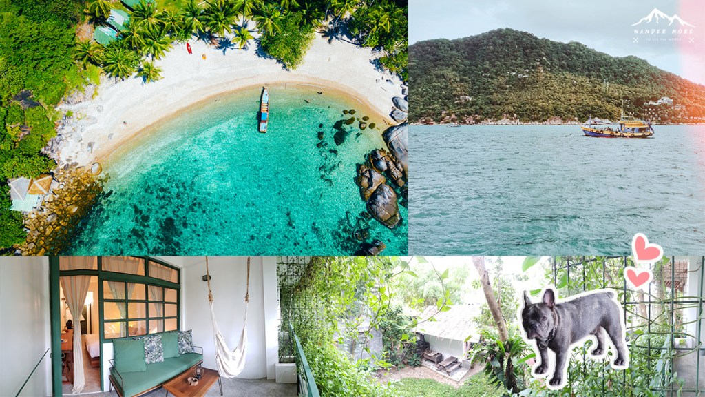 ร่มไม้-น้องหมา-กาแฟ บูทีคโฮเตลลับๆ ใต้ร่มไม้ใหญ่ในเกาะเต่า – Big Tree Boutique&nbsp;Hotel