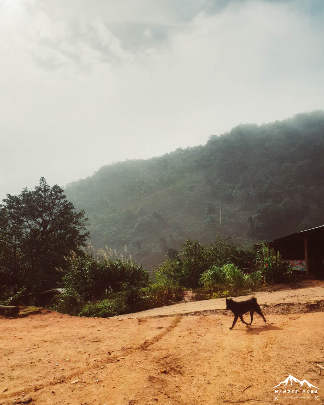 จุดสตาร์ท เดินป่าดอยห้วยทู่ จ.ตาก