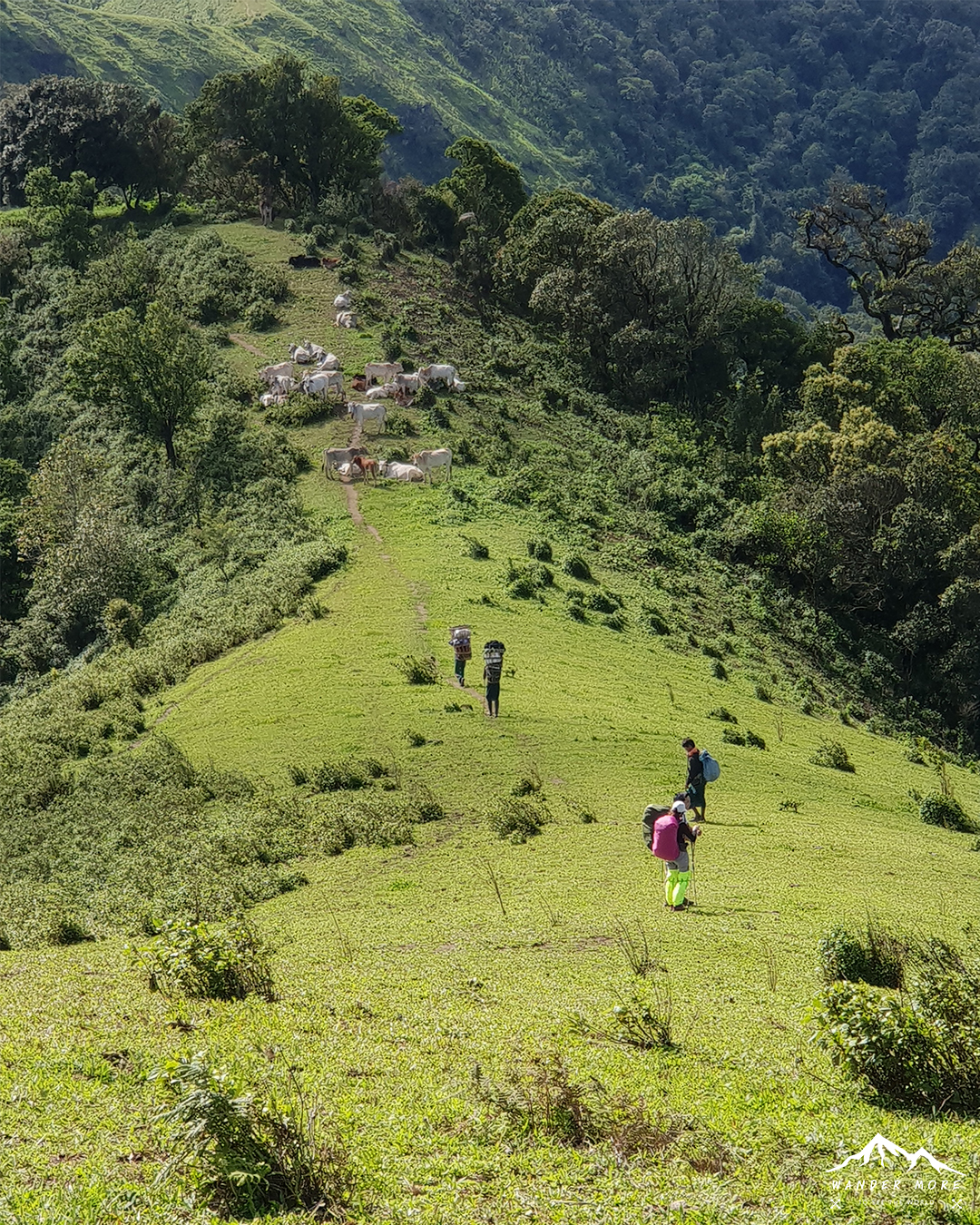 ดอยห้วยทู่ จ.ตาก เดินป่าวิวภูเขา