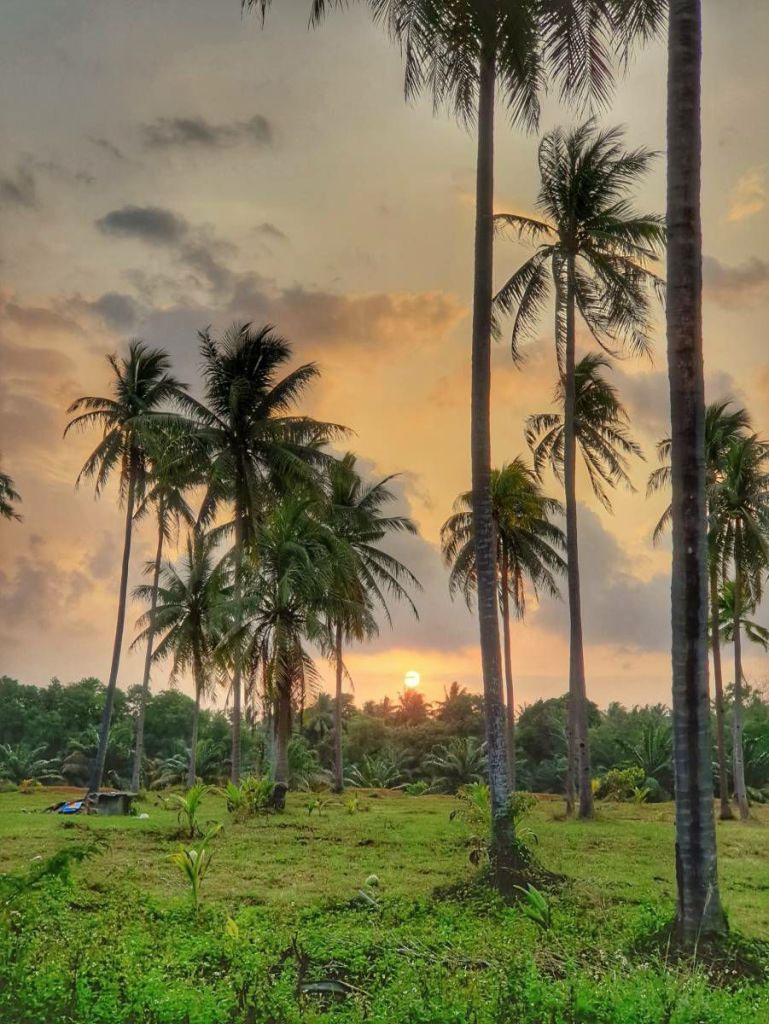 บรรยากาศชายทะเลบ้านปลายทอน สิชล อำเภอทะเลสวย